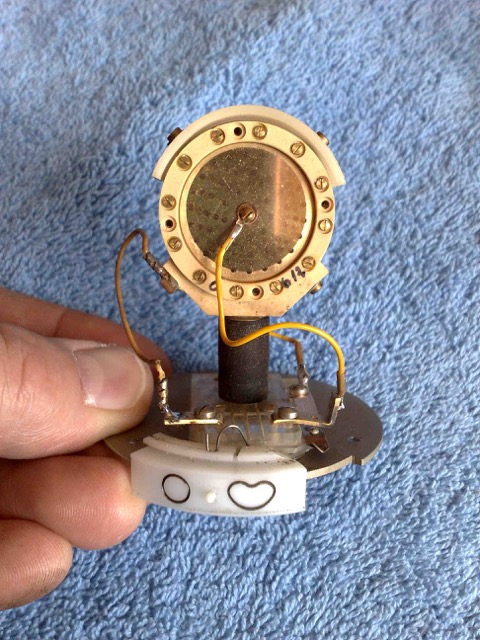 Neumann capsule repair_2.jpg